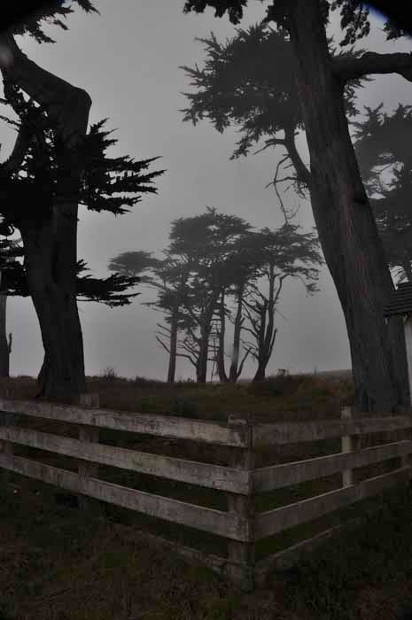 Pierce Point Ranch